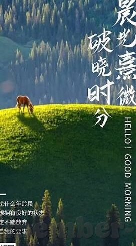 澳门金沙娱乐赌场网址-澳门金沙娱乐赌场网址，一个独特文化交汇点的探索