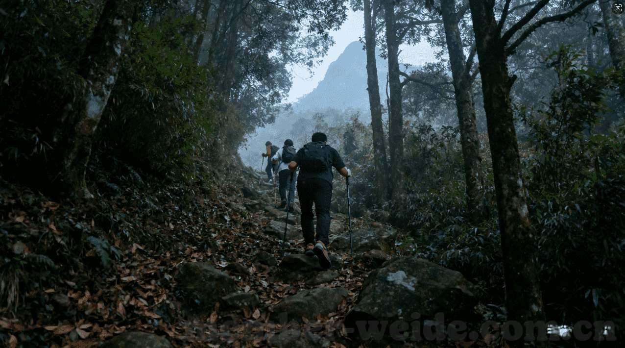 世界杯彩票赔率记录-世界杯彩票赔率记录，揭秘博彩业的数字密码