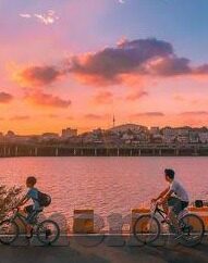 足球比分网一百-足球迷的宝藏地，足球比分网一百的魅力探索